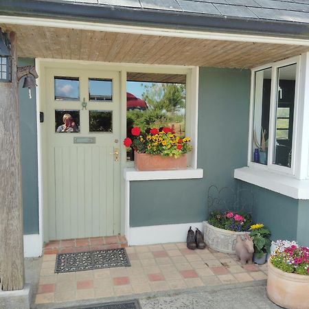 Dromelihy House Stud Hostal Doonbeg Exterior foto