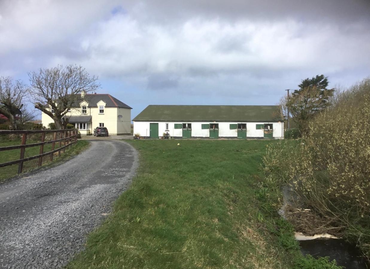Dromelihy House Stud Hostal Doonbeg Exterior foto