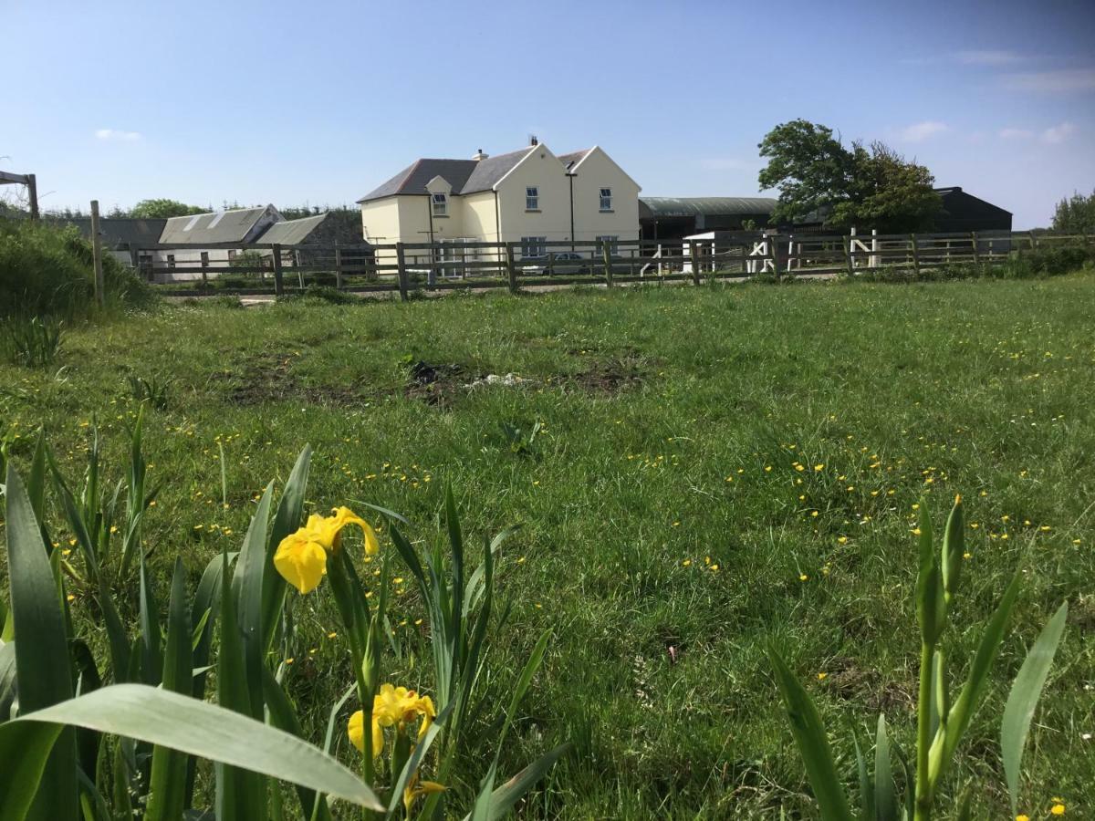 Dromelihy House Stud Hostal Doonbeg Exterior foto