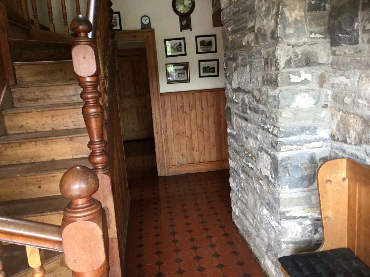 Dromelihy House Stud Hostal Doonbeg Exterior foto