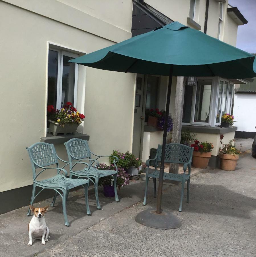 Dromelihy House Stud Hostal Doonbeg Exterior foto