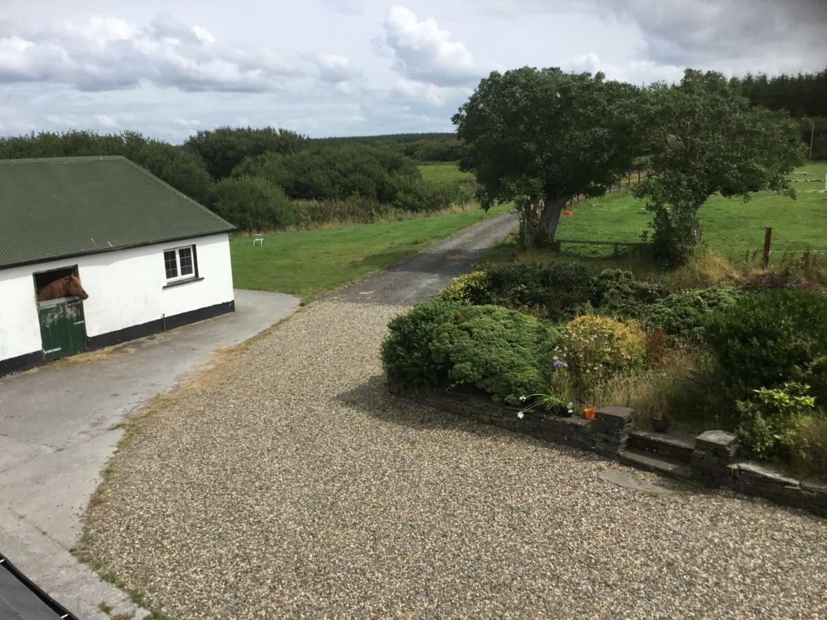Dromelihy House Stud Hostal Doonbeg Exterior foto