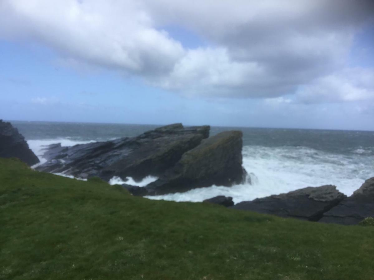 Dromelihy House Stud Hostal Doonbeg Exterior foto